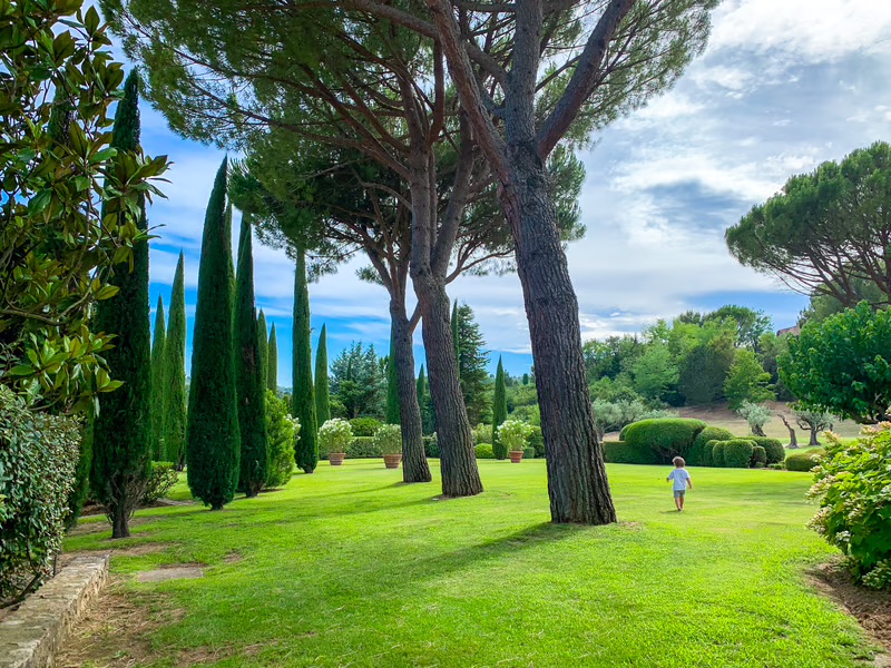 Child walking through a lush public garden surrounded by towering trees, highlighting the importance of green spaces for inspiring a lifelong connection with nature.