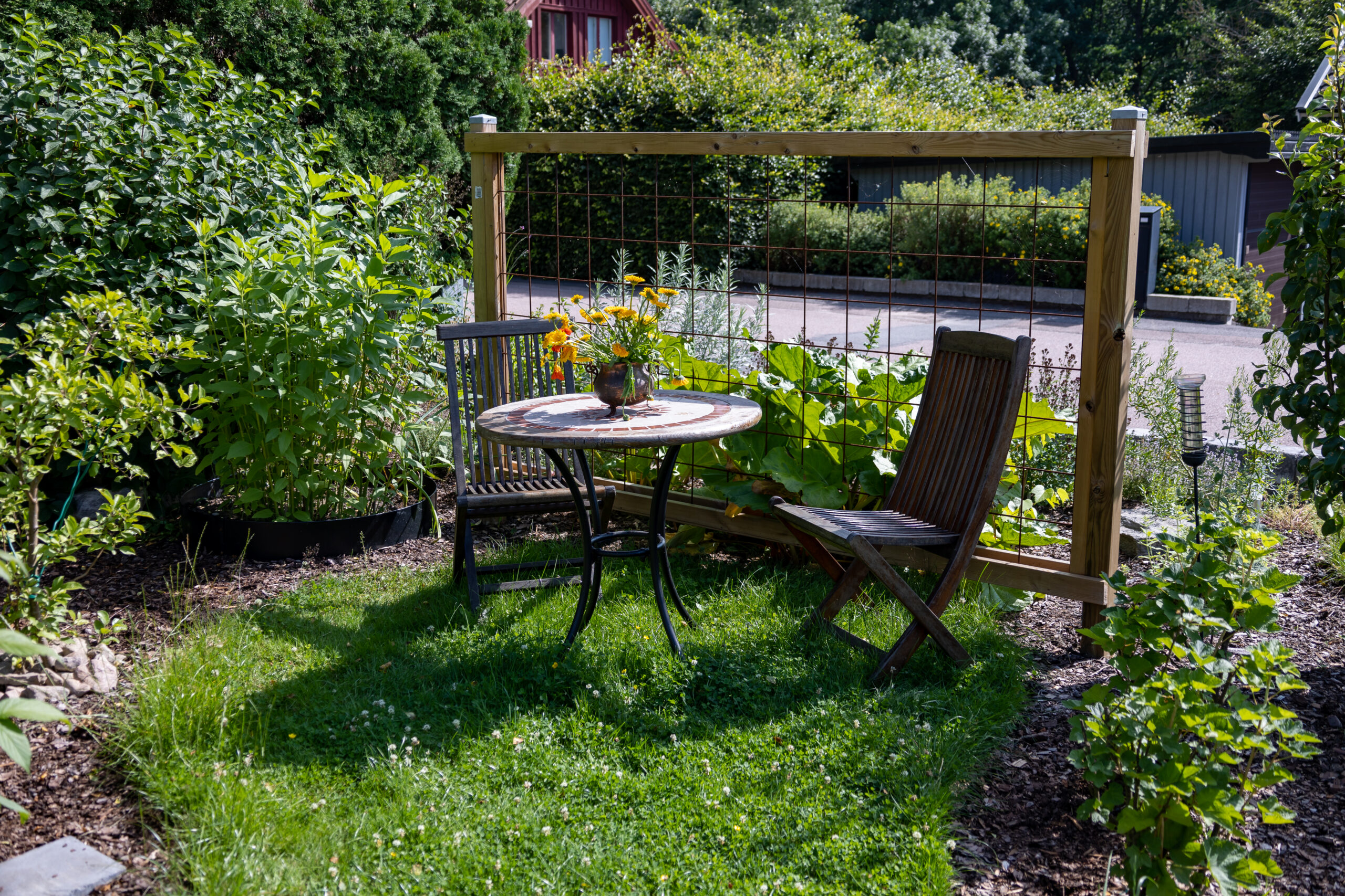Cozy outdoor seating area with two wooden chairs, a small round table, yellow flowers, and lush greenery in a peaceful garden.